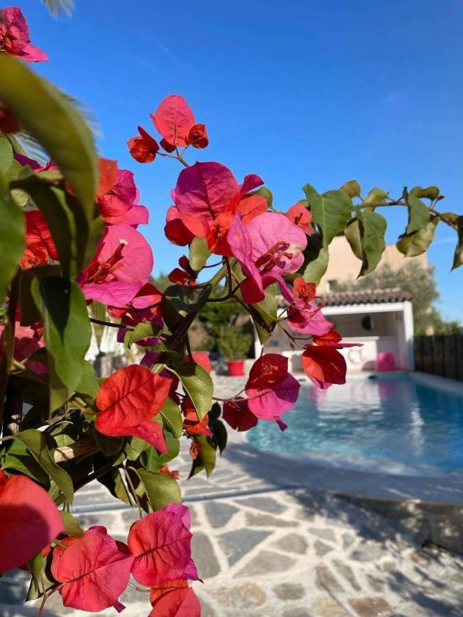 Maxima Sunset Apartment Sainte-Maxime Ngoại thất bức ảnh