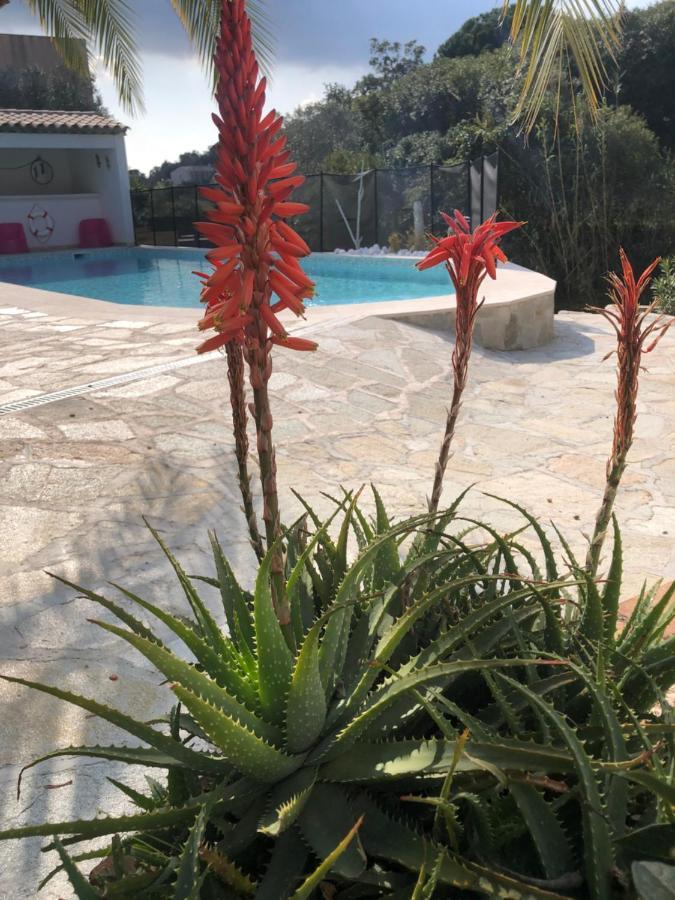 Maxima Sunset Apartment Sainte-Maxime Ngoại thất bức ảnh